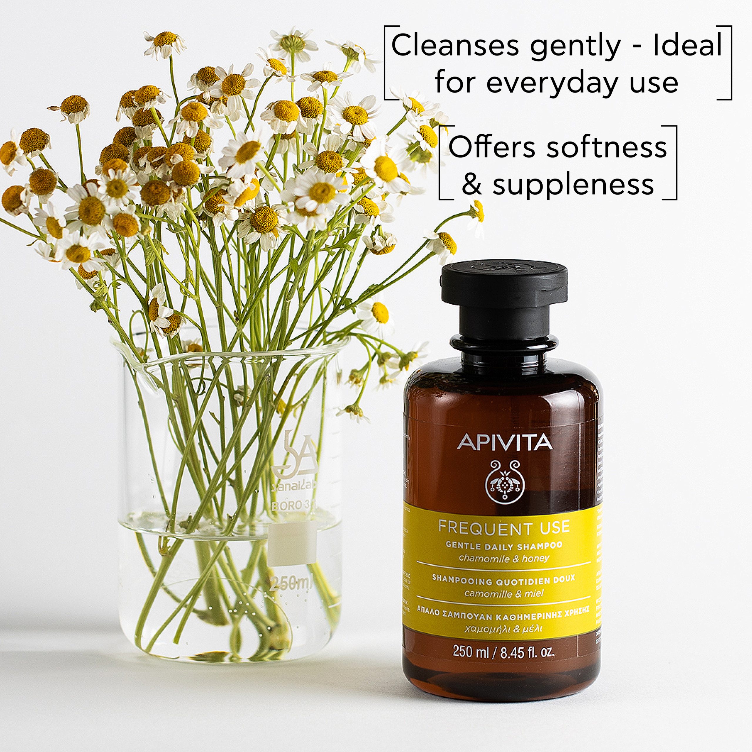 5201279079352 Shampoo Claims